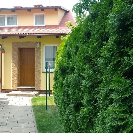 Blisko Jeziora Niegocin